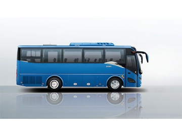 Ônibus 8-9 , XMQ6901AY/XMQ6871CY/XMQ6821CY