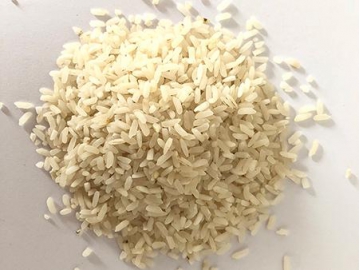 Brunidor vertical para arroz com roletes de esmeril, Tipo MNMLC