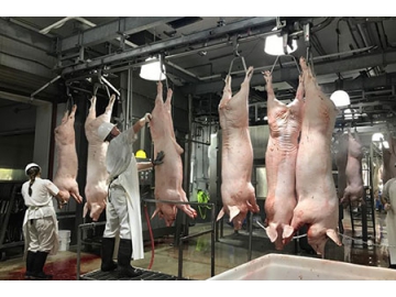 Processamento de carne suína para Chaishan Foods