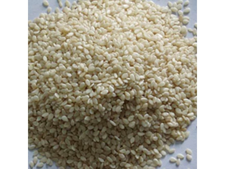 Torrador rotativo automático