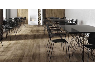 Porcelanato série Spruce