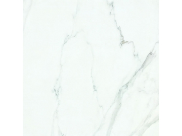 Porcelanato polido série White Marble