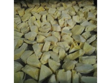 Liofilização de alimentos
