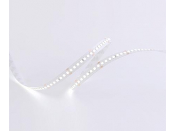 Mangueira LED flexível para interior  10mm 24V D8168