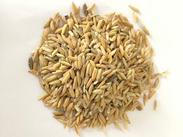 Descascador de arroz com câmara de aspiração, Polidor de grãos SYX-MLGQ