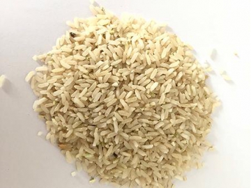 Brunidor vertical para arroz com roletes de esmeril, Tipo MNMLC