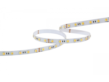 Fita LED Branca Regulável Impermeável IP68 24V DC