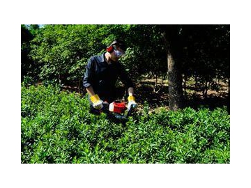 Roçadeira multifuncional 4 em 1, 700W M2600