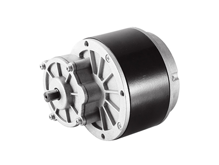 Motor de acionamento portátil (horizontal) 450W, PMDC motor escovado ZD109AZ5