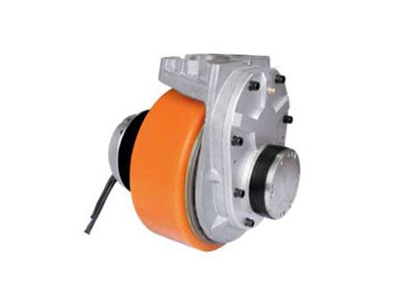 Montagem de motor de acionamento 750W (PMDC motor sem escova) TF110BH3