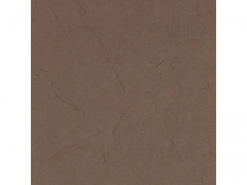 <strong>Porcelanato esmaltado</strong> SANDSTONE